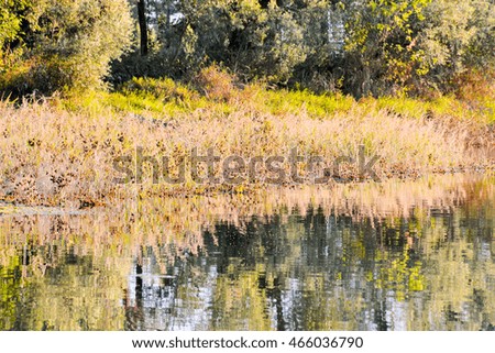 Photo Picture of Beautiful  Wild Brenta River in North Italy 