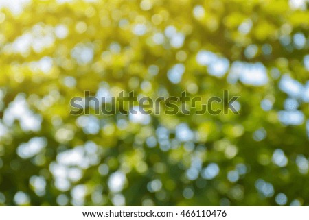 Abstract natural blur for background