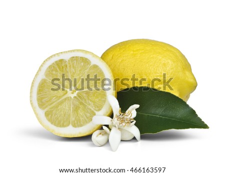 Lemon and half lemon with lemon flower (zagara) and leaf on white background