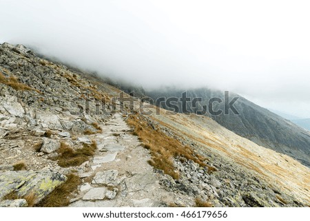 Tatra mountains in Slovakia covered with clouds. summer colors