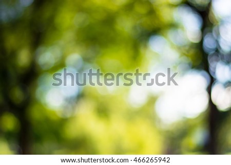 Blur garden background