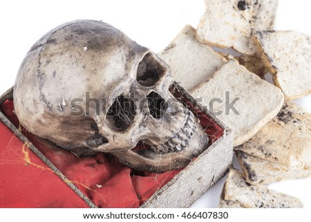 old skull