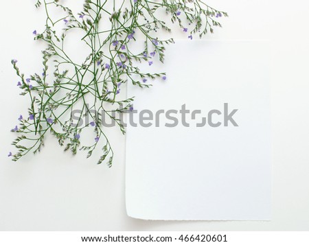 paper sheet frame for notes with herb branches isolated on white background Royalty-Free Stock Photo #466420601