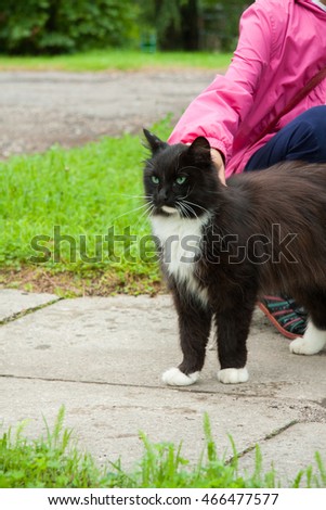 Teenage girl strokes fluffy black and white domestic cat