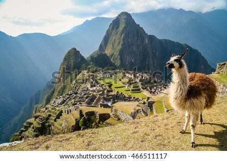 Llama in front of ancient inca town of Machu Picchu Royalty-Free Stock Photo #466511117