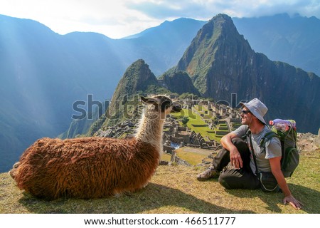 Tourist and llama sitting in front of Machu Picchu, Peru Royalty-Free Stock Photo #466511777