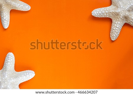 Summer time concept frame with starfish on orange