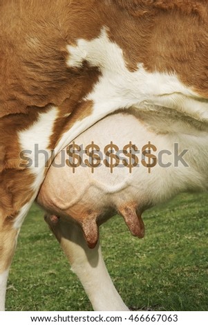 Extreme closeup of brown cow's udder with dollar symbol