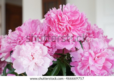 A bunch of pink and purple peonies