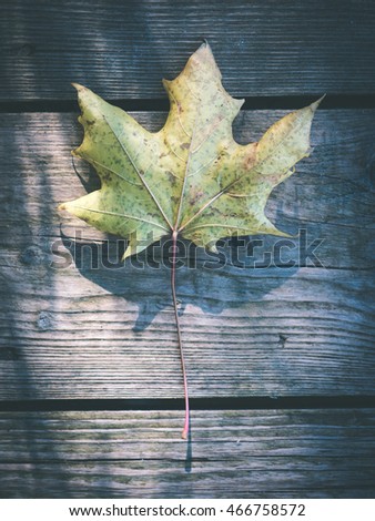 dry leaves on old wooden planks. autumn scene - vintage film effect