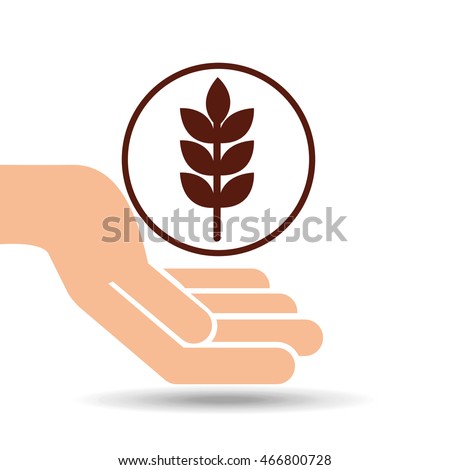 holding a wheat spike, fresh bakery products, vector illustration