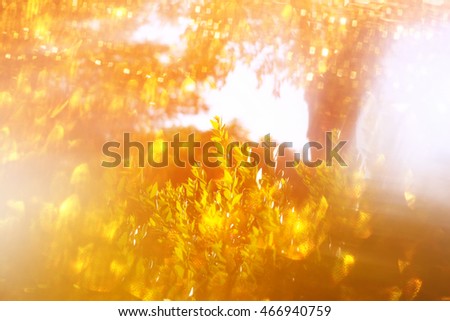blurred abstract photo of light burst among trees and glitter bokeh. filtered image and textured.
