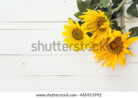 Background with a bouquet of yellow sunflowers on a white painted wooden planks. Space for text.