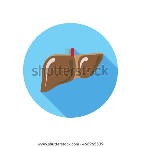 icon liver