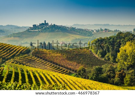 Langhe vineyards of Piedmont in autumn Royalty-Free Stock Photo #466978367