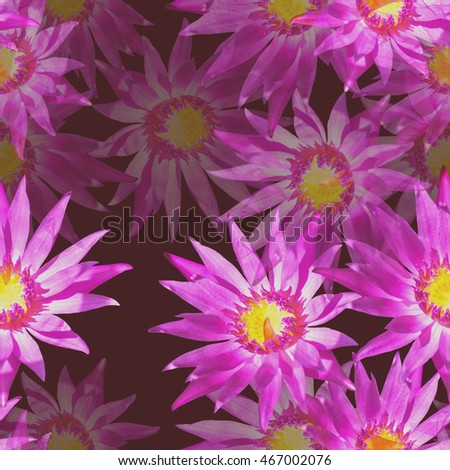 Floral seamless pattern flowers background . Realistic photo collage - clip art . Lotus flower