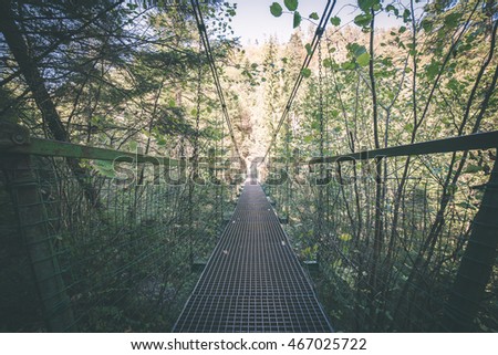 old bridge in forest seen in perspective. central composition - vintage film effect