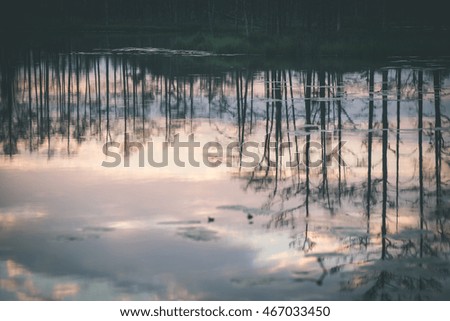 abstract reflections of the trees in the water with sunset colors - vintage film effect
