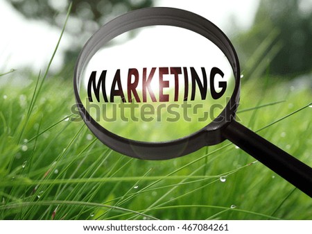Magnifying glass with the word marketing on grass background. Selective focus