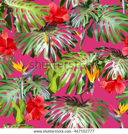 Tropical leaves pattern. Green leaf monstera seamless. Artistic photo collage for floral print.With soft focus effect