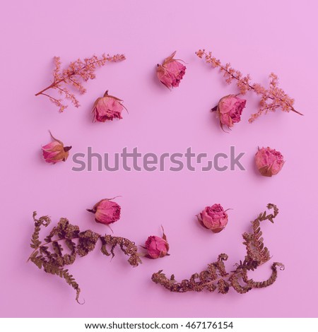 Frame with roses isolated on pink background. Flat design picture with top view