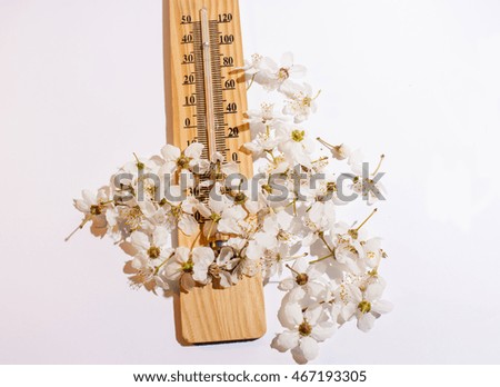 Spring blossoms over Thermometer