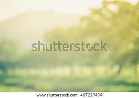 Blur nature green park with sun light copy space abstract background. Travel and environment concept. Vintage tone color style.