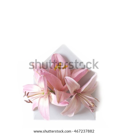 Flowers in envelope on the white background. Mail for you. Spring background. Gift fot her. Flat lay. A grey envelope with pink lilies.