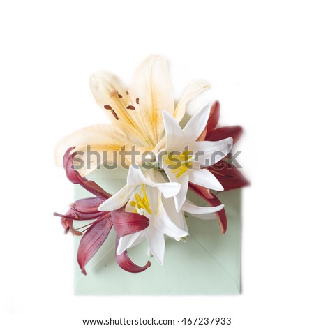 Flowers in envelope on the white background. Mail for you. Spring background. Gift fot her. Flat lay. A green envelope with lilies.