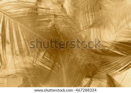 Brown vintage color trends feather texture background