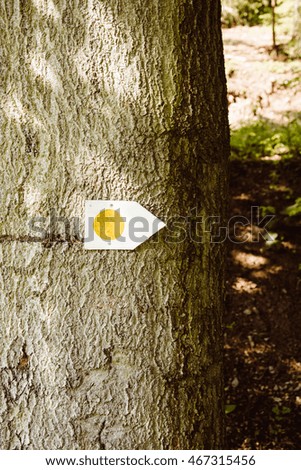 Hiking trail marker on tree trunk in a forest