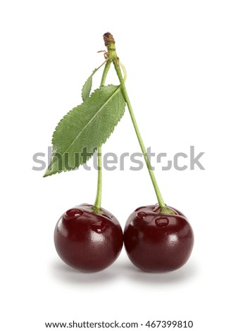 Two berries of a cherry on a green small stalk it is isolated on white