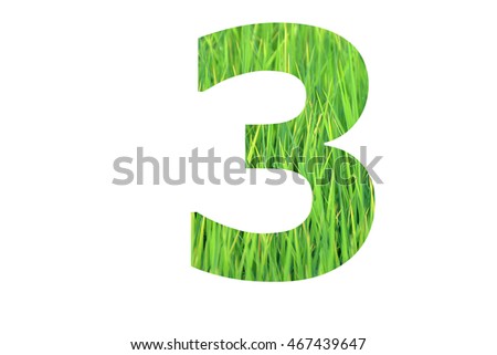 The number "3" with green rice field background inside