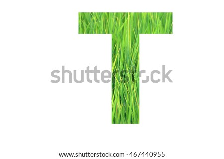 The letter "T" with green rice field background inside