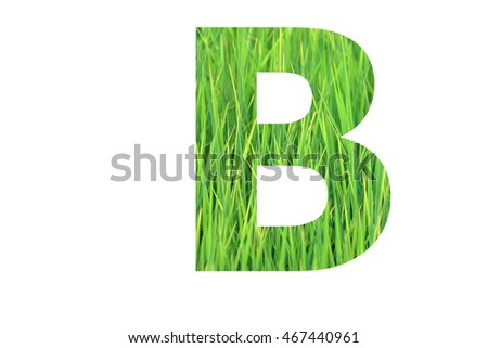 The letter "B" with green rice field background inside
