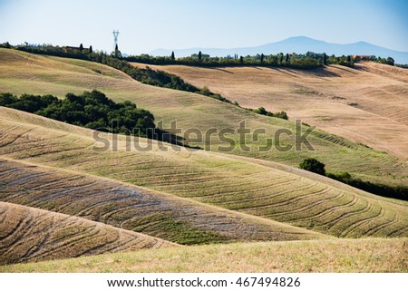 endless barren hills of the Tuscan yellow desert