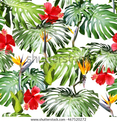 Tropical leaves pattern. Green leaf monstera seamless. Artistic photo collage for floral print. With soft focus effect.