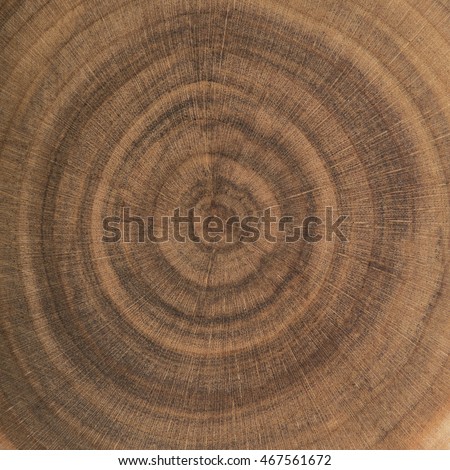 End grain wood rings texture Royalty-Free Stock Photo #467561672