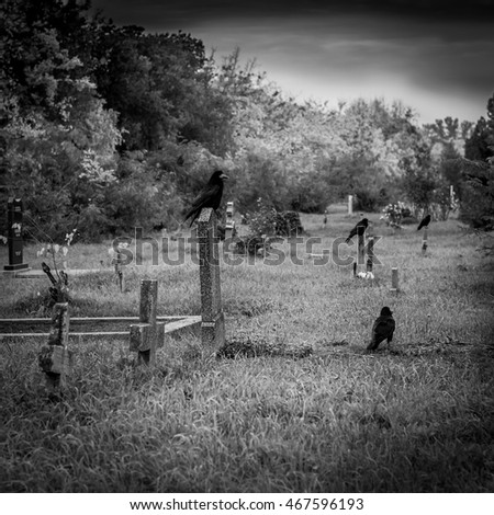 Crow at the cemetery and monuments, black and white photo, mysticism, scary, lonely place