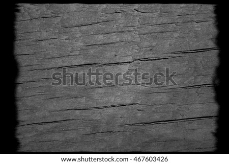 grey wood texture. background old panels