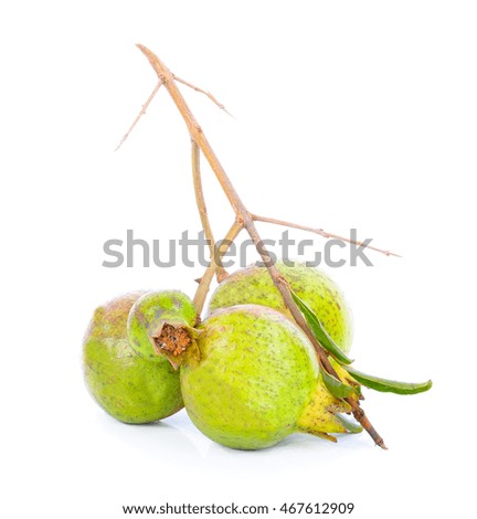  Preview
Save to a lightbox
 Find Similar Images  Share
Stock Photo:
Green pomegranates closeup, on white background.