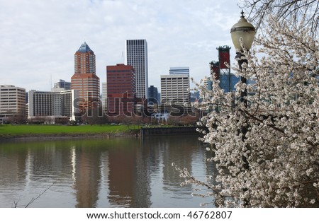 First sign of Spring, Portland Oregon.