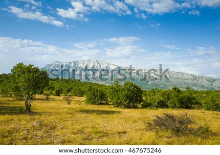 Croatia Europe. Beautiful landscape and nature photo of Dalmatia. Nice warm summer day, Colorful image, blue sky, green grass and trees. Lovely outdoors picture with mountains. Joyful and happy
