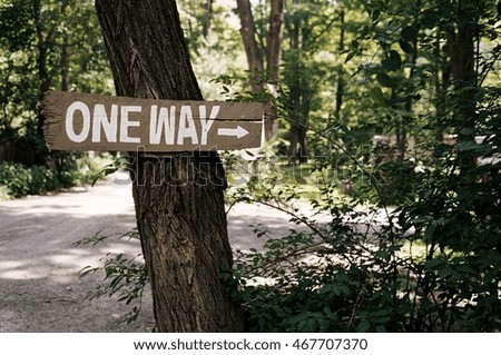 'One way' sign on tree in forest