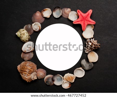 The frame of shells on sea theme with white circle in the middle