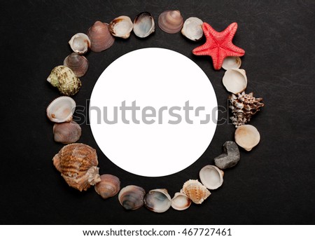 The frame of shells on sea theme with white circle in the middle