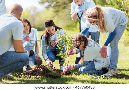 volunteering, charity, people and ecology concept - group of happy volunteers planting treel in park Royalty-Free Stock Photo #467760488