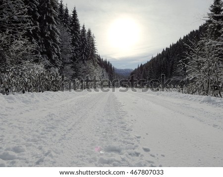 winter landscape, white way, Snow and Travel ,