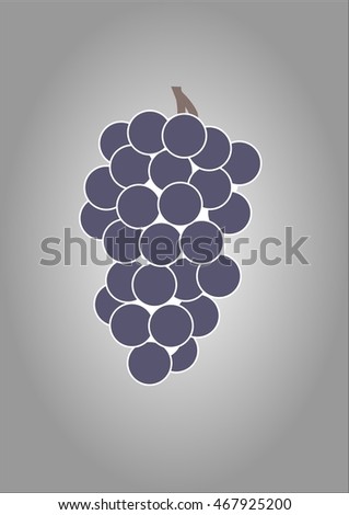 Vintage bunch of grapes vector.