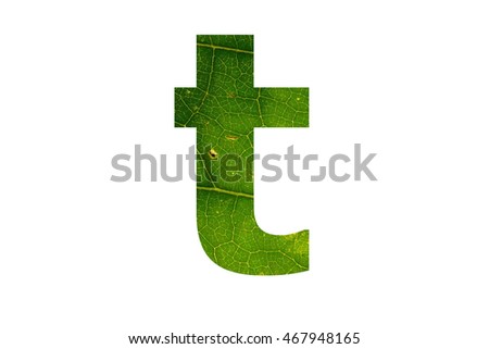 The letter "t" with green leaf surface texture inside